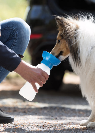 Gourde avec gamelle pour animaux Bleu