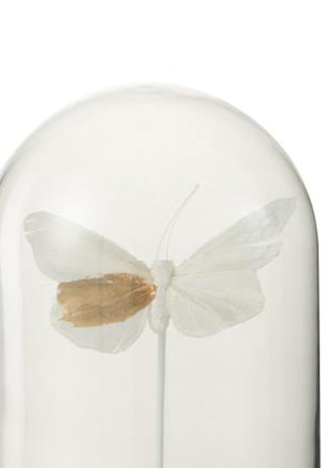 Cloche en verre décorative papillon Blanc