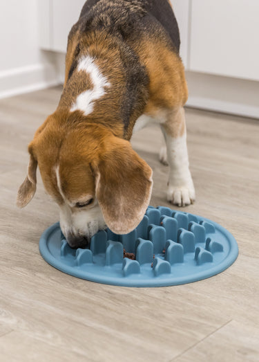 Set de table pour animaux SLOW FEEDING Bleu