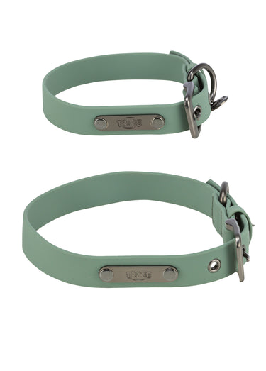 Collier en PVC CITY STYLE pour chien Sauge