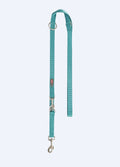 Aqua