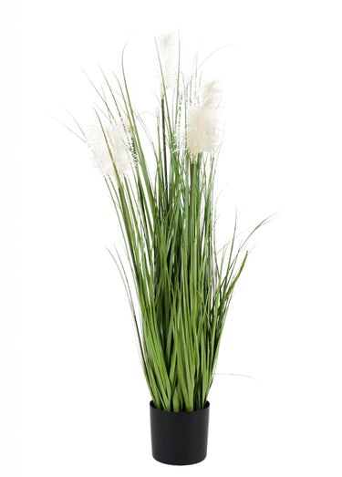 Plante artificielle Herbe de la pampa Noir