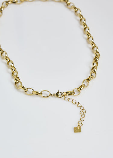 Collier acier inox, maille forçat ovale Dore