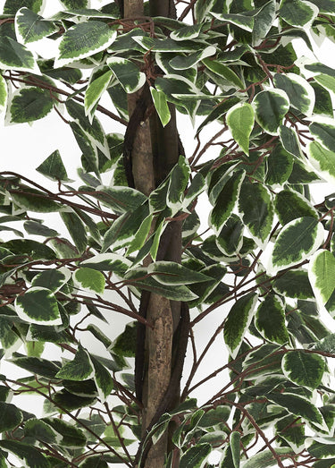 Plante artificielle feuillage panaché Vert
