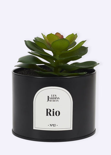 Plante artificielle Oasis + pot métal Noir