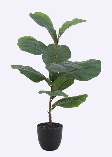 Plante artificielle Figuier lyre + pot Noir