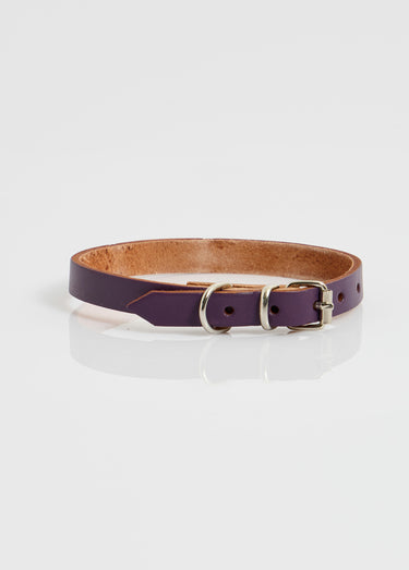 Collier cuir et boucle métal, pour chien Violet