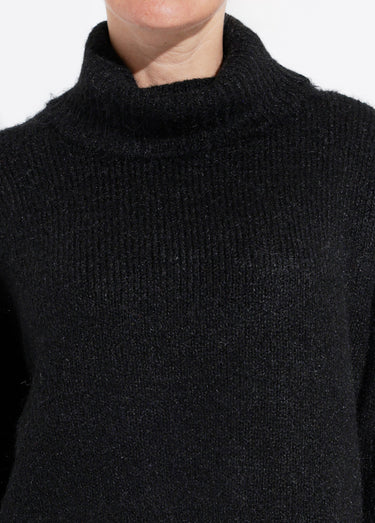 Pull col roulé en maille épaisse Noir