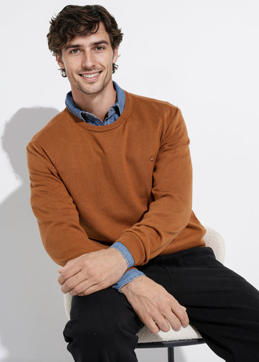 Pull fin coton, col rond manches longues Camel