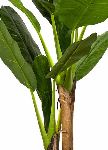 Grande plante artificielle, bananier Vert