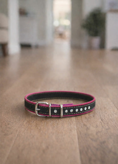 Collier chien à boucle avec strass Rose