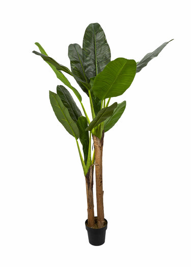 Grande plante artificielle, bananier Vert