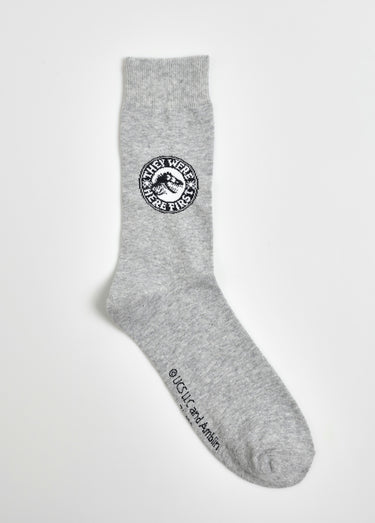 Paire de chaussettes, Jurassic World Gris