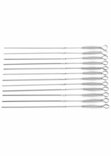 12 pics à brochettes pour barbecue Inox