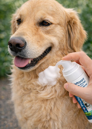 Mousse nettoyante aloe vera chien/chat Blanc