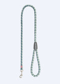 Pétrole / Sauge