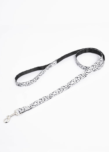 Collier pour chien + laisse léopard Blanc