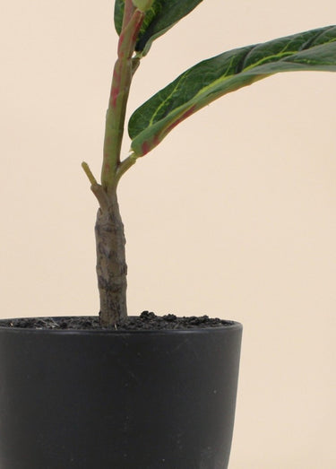 Plante artificielle Figuier lyre + pot Noir