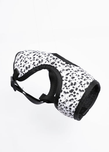 Harnais pour chien + laisse léopard Blanc