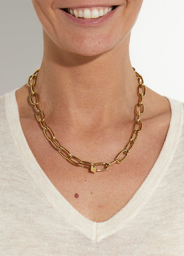 Collier gourmette inox avec mousqueton Dore