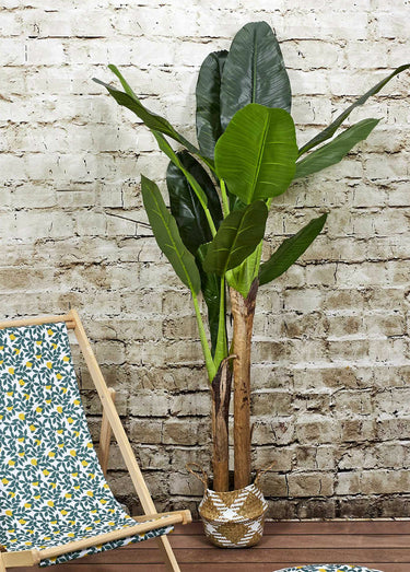 Grande plante artificielle, bananier Vert