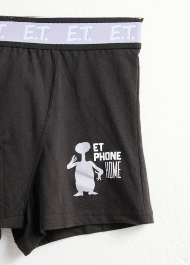 Boxer avec licence E.T. Noir