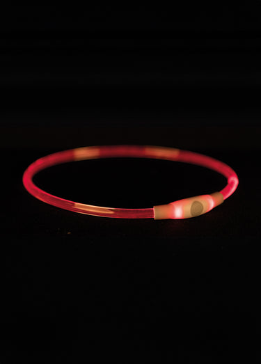 Anneau lumineux flash USB pour chien Multico