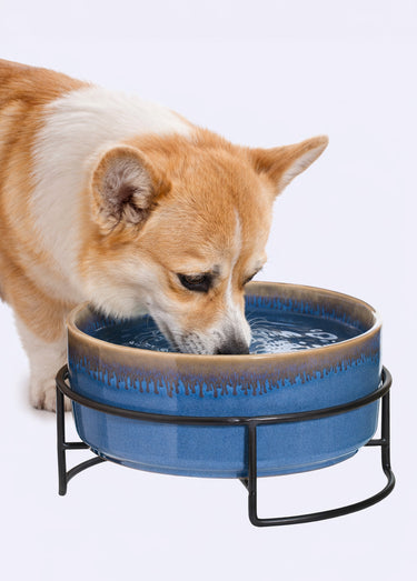 Bol céramique pour animaux de compagnie Bleu