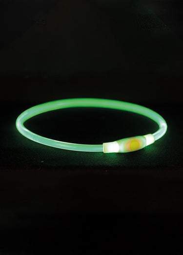 Anneau lumineux flash USB pour chien Vert
