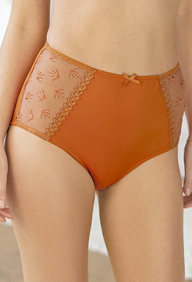 Briefs